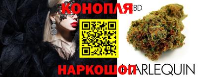 прущие грибы Каменск-Уральский
