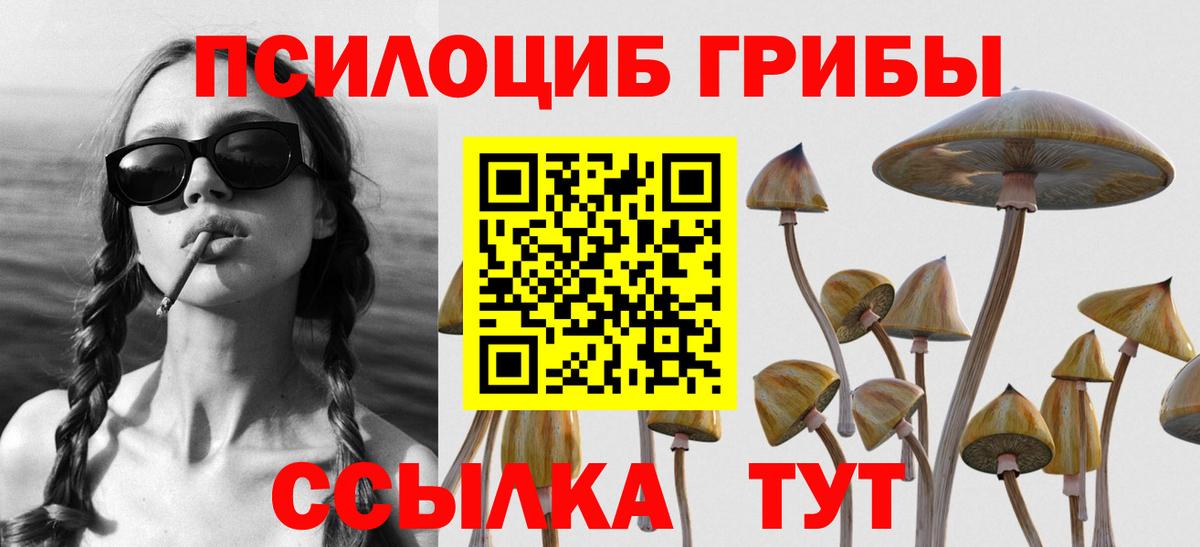 Галлюциногенные грибы прущие грибы  Псилоцибиновые грибы Cubensis  Гагарин  Вход с VPN 