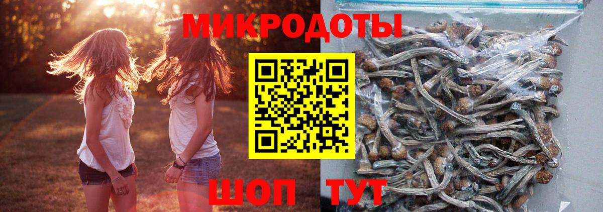 Псилоцибиновые грибы GOLDEN TEACHER Гагарин
